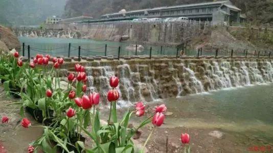 超黄金铠甲
