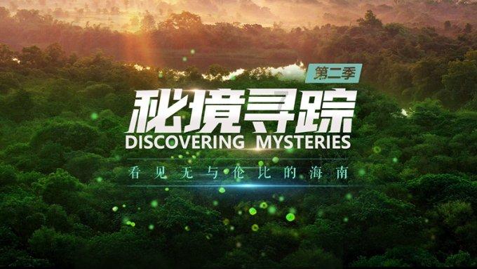 进击的飞机